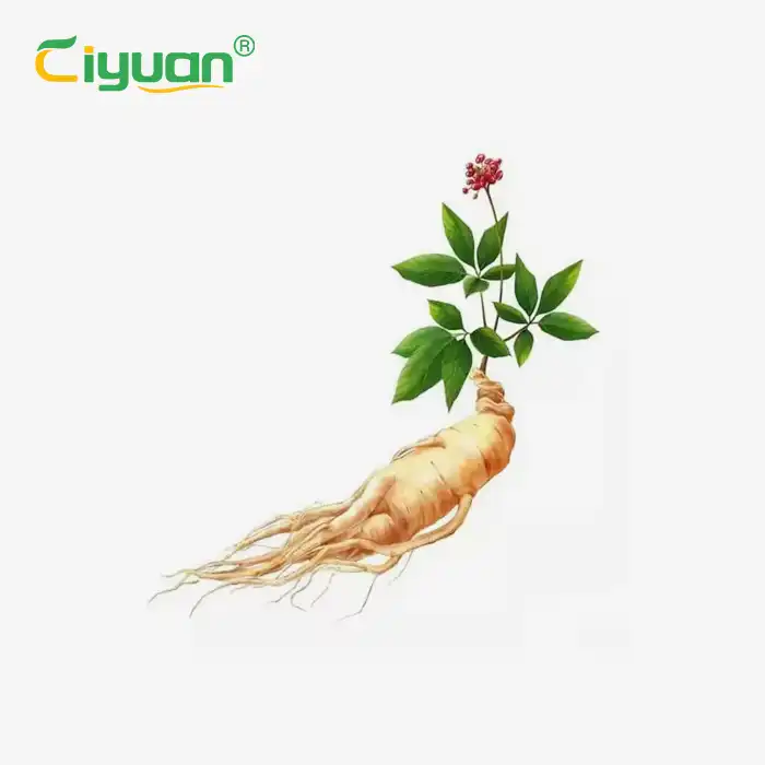 best ginseng tablets